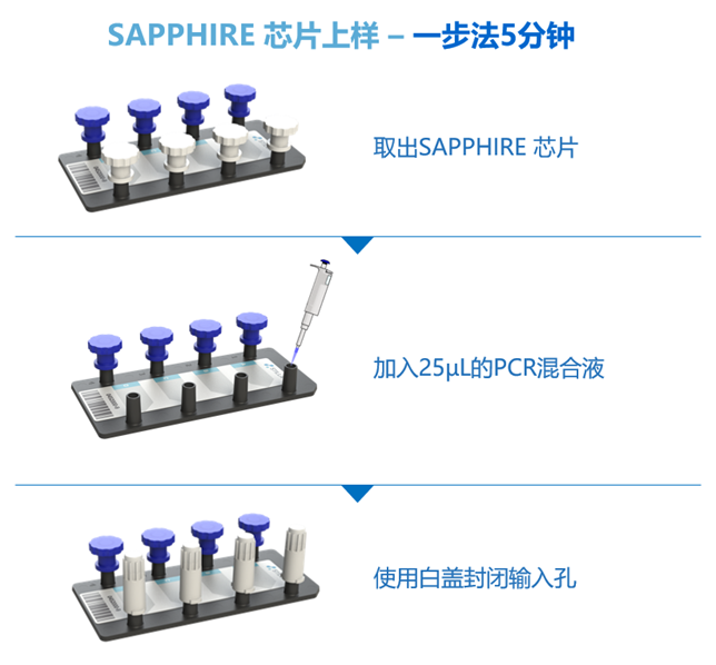 image005.png