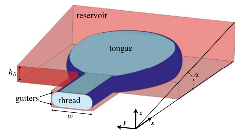 image004.png