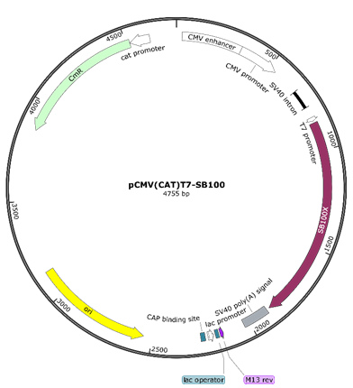 image002.png